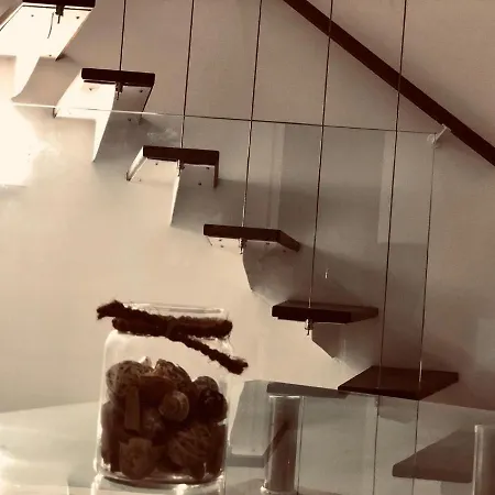 公寓 Wonderful And Young Triplex Playa Americas 美洲海滩